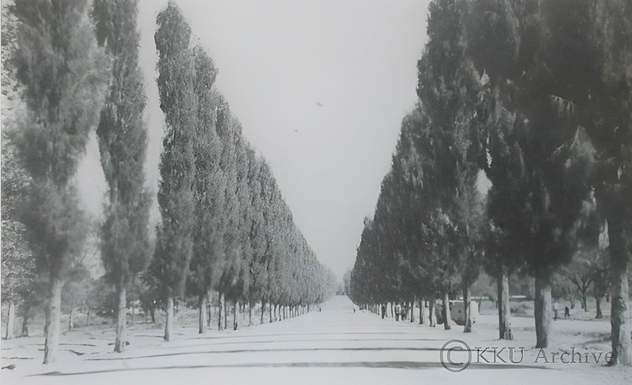 Historical stone wall